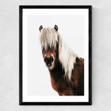 Horse by Rafael Farias Medium Black Frame