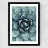 Agave II Medium Black Frame