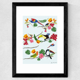 Birds by Hanna Melin Wide Black Frame