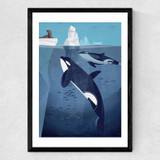 Orcas by Dieter Braun Medium Black Frame