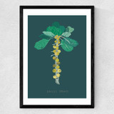 Brussel Sprouts Medium Black Frame