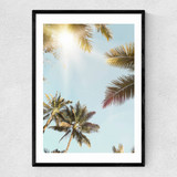 Sunny Narrow Black Frame