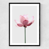 Lotus Narrow Black Frame