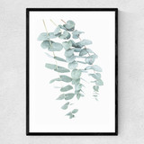 Eucalyptus 2 Narrow Black Frame