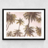 Palm Trees Medium Black Frame