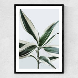 Foliage 1 Narrow Black Frame