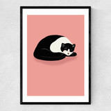 Cat Nap