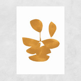 Leaves XI Unframed Print