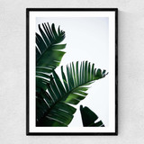 Palm Leaves Narrow Black Frame