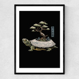 The Legendary Kame Narrow Black Frame