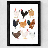 Hens in Glasses Wide Black Frame