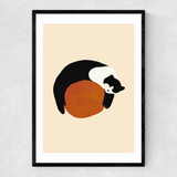 Sleeping Cat