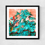 Monstera in my Backyard  Medium Black Frame