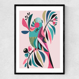 Parakeet