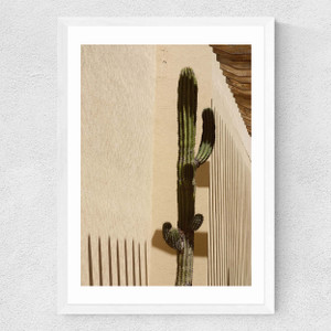 Lonely Cactus Medium White Frame