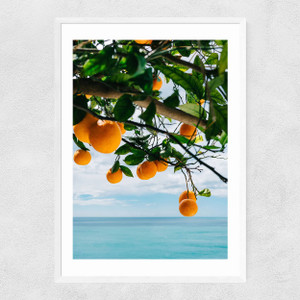 Amalfi Coast Oranges Narrow White Frame
