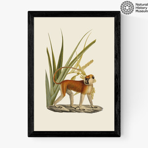 Monkey and Leaves Medium Black Frame