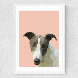 Greyhound Medium White Frame