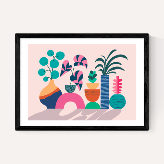 House Plants