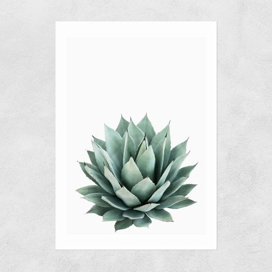 Succulent Set 2 Unframed Print
