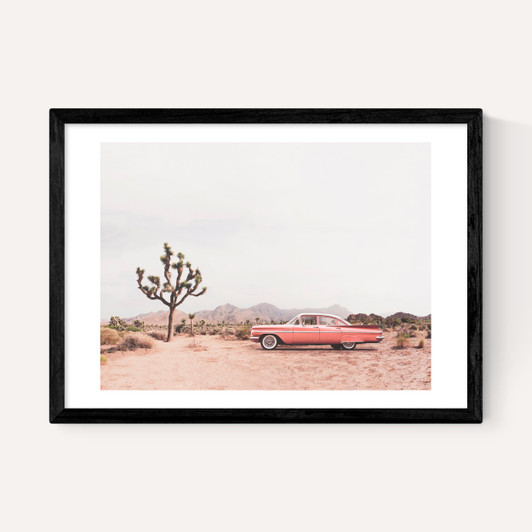 In the Desert