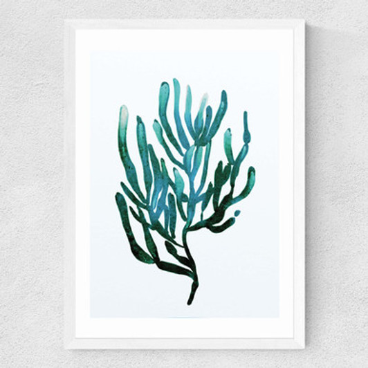 Seaweed by Dan Hobday Medium White Frame