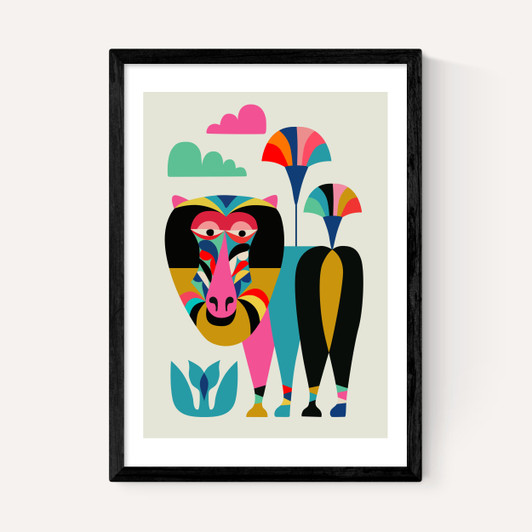 Baboon