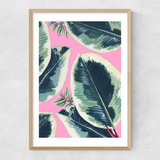 Rubber Plant Narrow Oak Frame