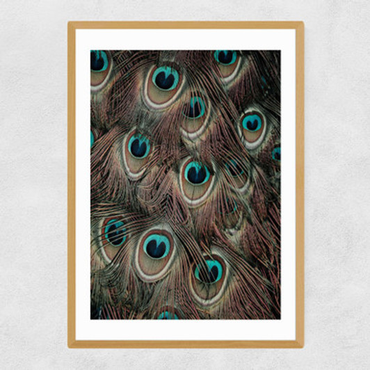 Peacock Feathers Narrow Oak Frame