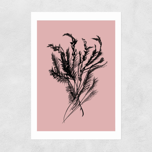 Mono Botanical 2 Unframed Print