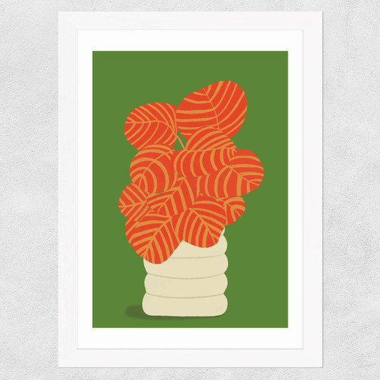 Reimagined Calathea Wide White Frame