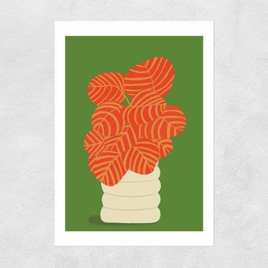 Reimagined Calathea