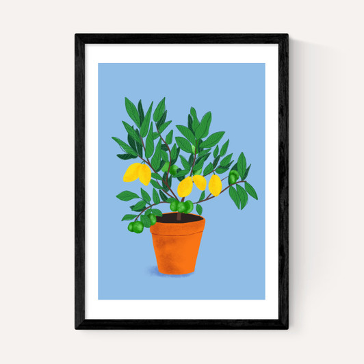 When Life Gives You Lemons