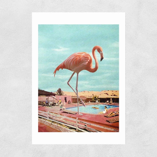 Flamingo on Holiday