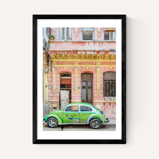 Green Bug