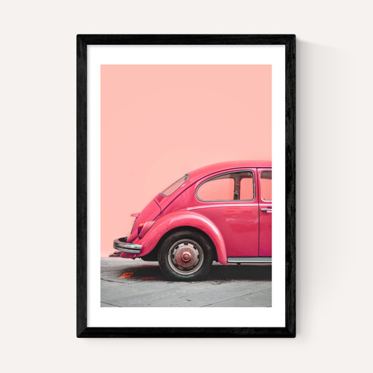 Pink Bug