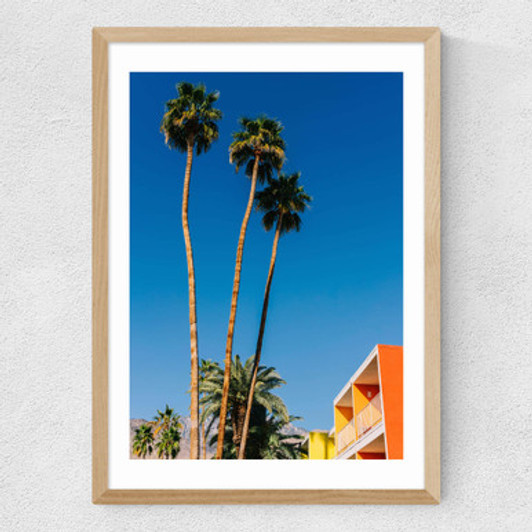Palm Springs Vibes V Medium Oak Frame
