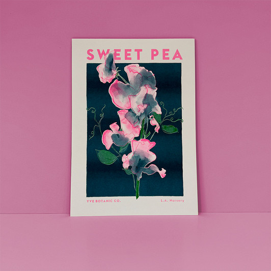 Sweet Pea Unframed Print