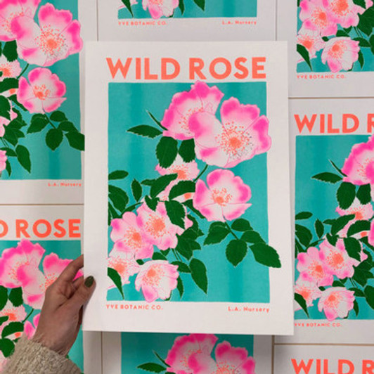 Wild Rose Unframed Print