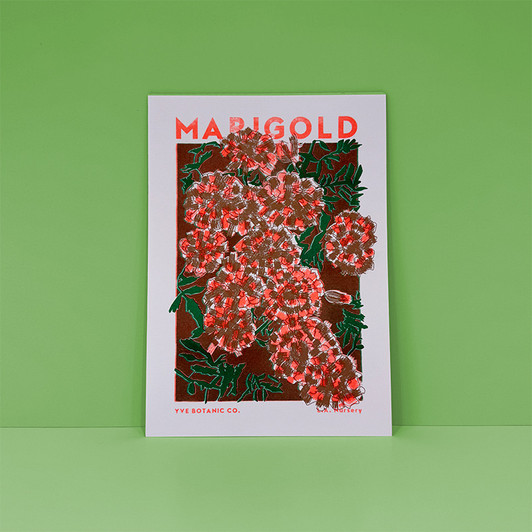 Marigold Unframed Print