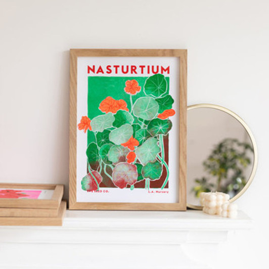 Nasturtium by Yve Print Co. Unframed Print