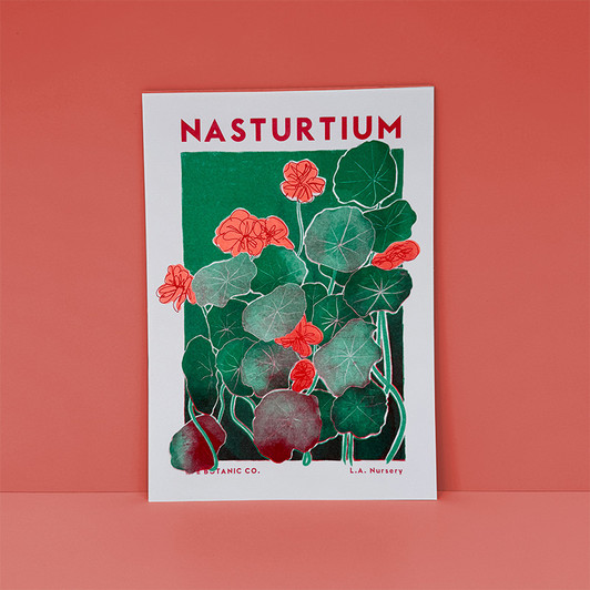 Nasturtium by Eve Print Studio Unframed Print