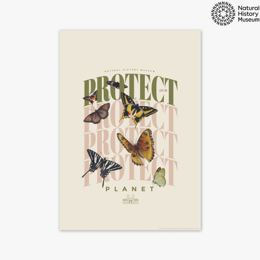 Protect Butterfly Unframed Print