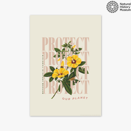 Protect Yellow Flower Unframed Print