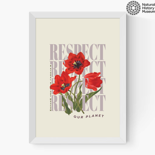 Respect Red Flower Medium White Frame