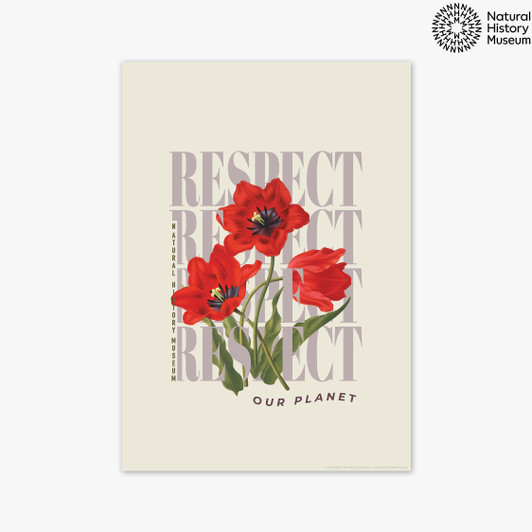 Respect Red Flower