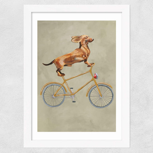 Dachshund On Bicycle Wide White Frame