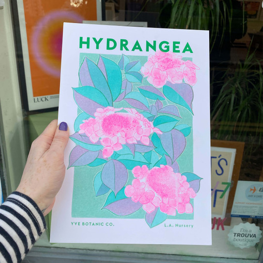 Hydrangea Unframed Print