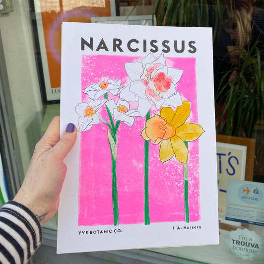 Narcissus Unframed Print