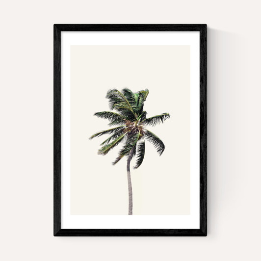 Palm Tree I